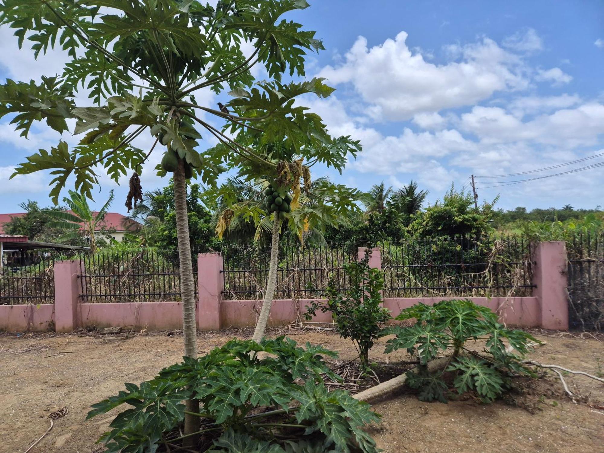 Chander'S Villa Paramaribo Exterior foto